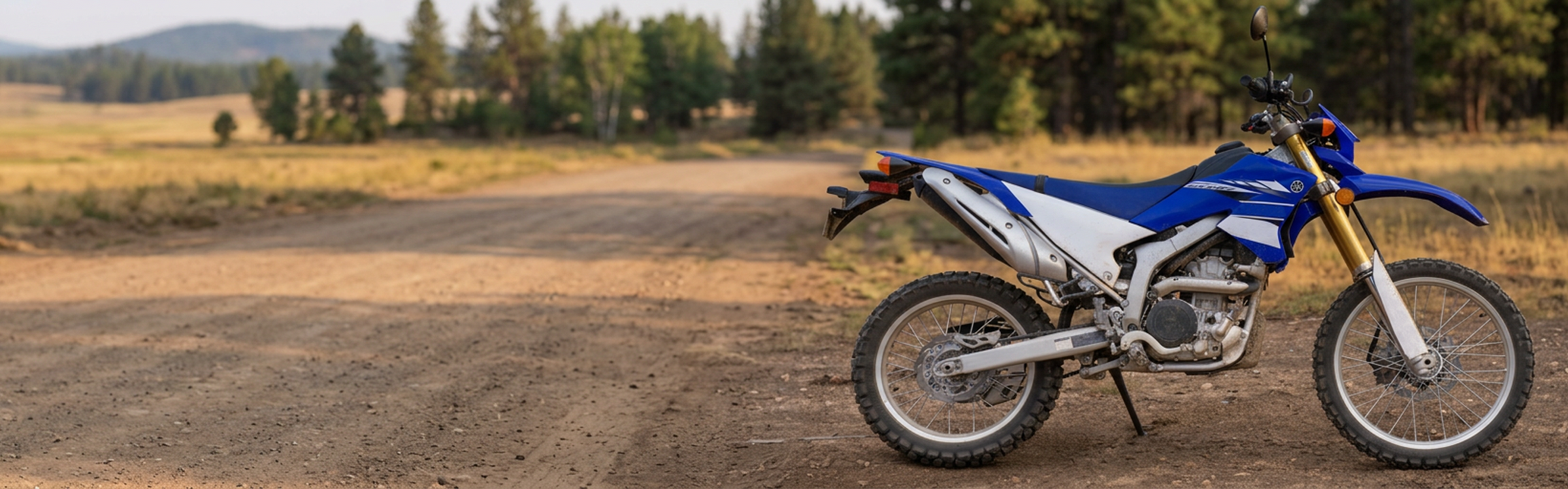 WR 250 R & X
